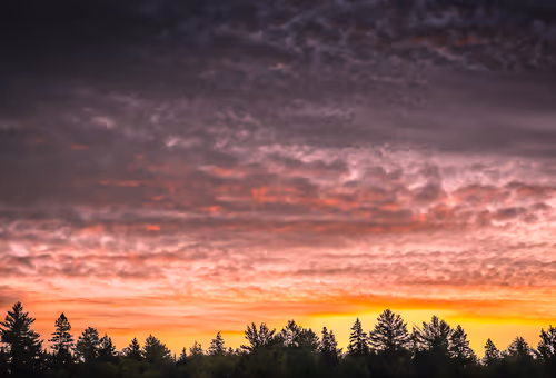 Item #78614967916850878758896281278088562819031429561597845143063368079473549246465 Media