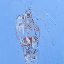 312640636986488383809967770133735614137631931927761305121196833795089629185