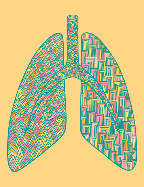 Item #28824502245252267217549902857601847351510039266873569823091148474589714055169 Media