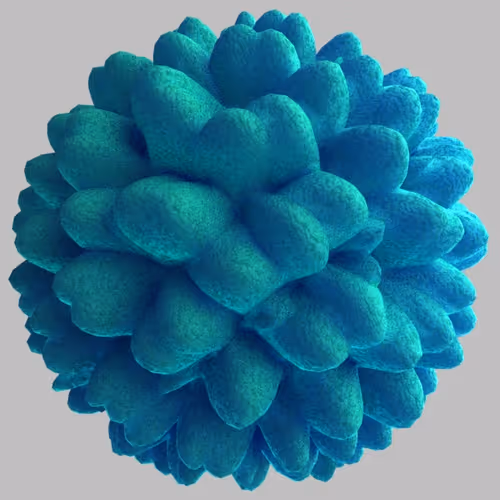 Item #67447968651477411200825140622653011550886032054386379911868636576604416376833 Media