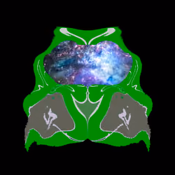 Species Mystery Masks  #39