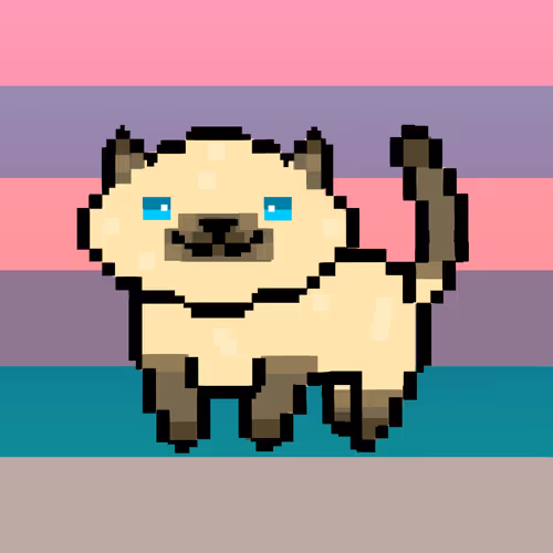 Comfort Cat #38
