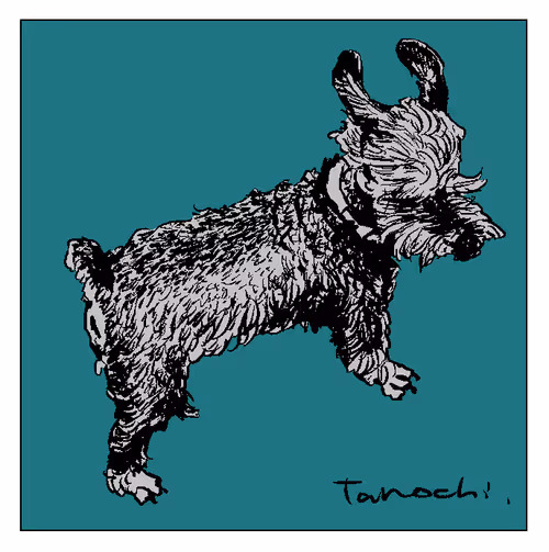 Item #112440547499717604048536072211740983446434024043436652955614128742491263860737 Media