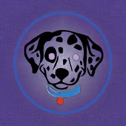 Dalmatian #19