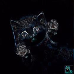 Cat in Dark #1