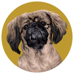 54766349128176429303044182404049584425310907481653304317570413842971402174465