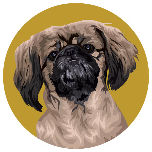 Item #54766349128176429303044182404049584425310907481653304317570413842971402174465 Media