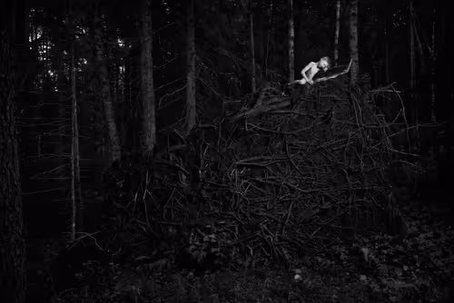 Item #81425468840217938130335513187731669853655760223415782332089084409655584620545 Media