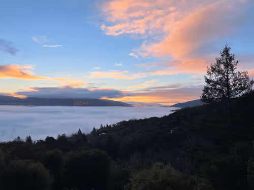 SacredGarden Collection