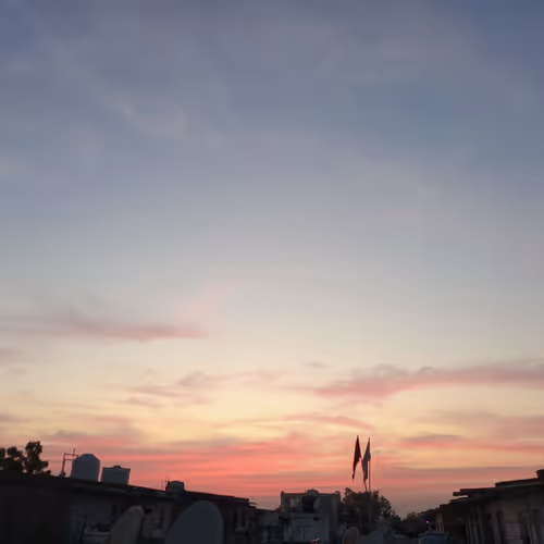 naturenft2021 Collection - old