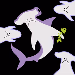 Hammerhead Shuck #13