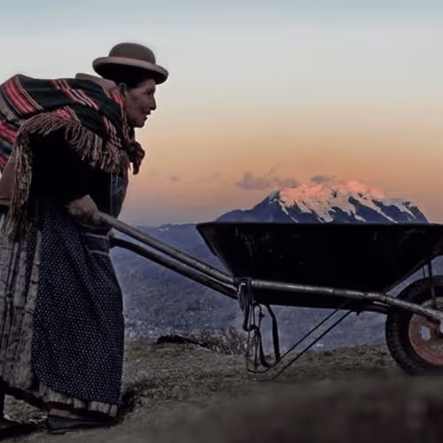 Untitled Collection #273080613