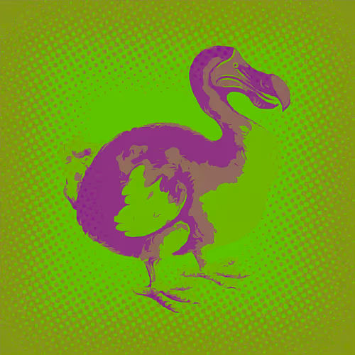 Item #17635803375648012338610213380030160191715370757553255260744606432698996621313 Media