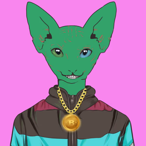 Sphynx #103