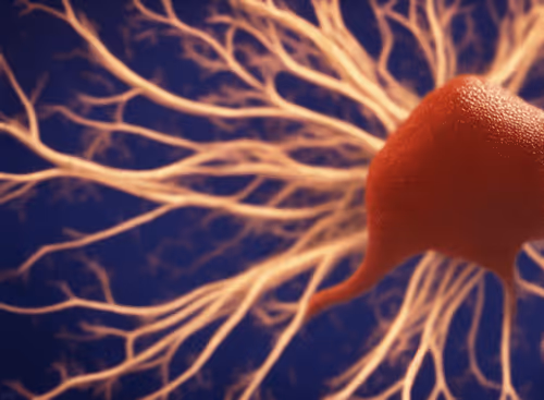 Item #98695163844141812296559601516468632585703412525772017875852753269258973085697 Media