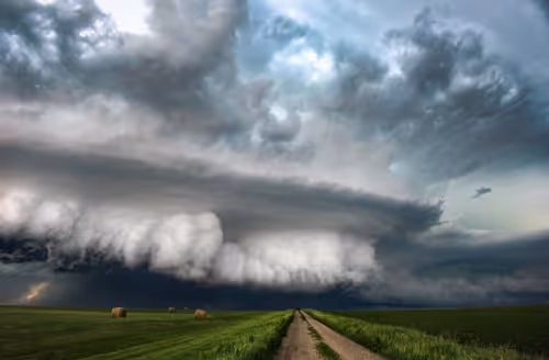 Item #46154160826271547341634704556143841503597126410650149385483954188751179087873 Media