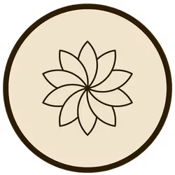 43146523161913970775654449509921564474344972767913577800200540951133026254849