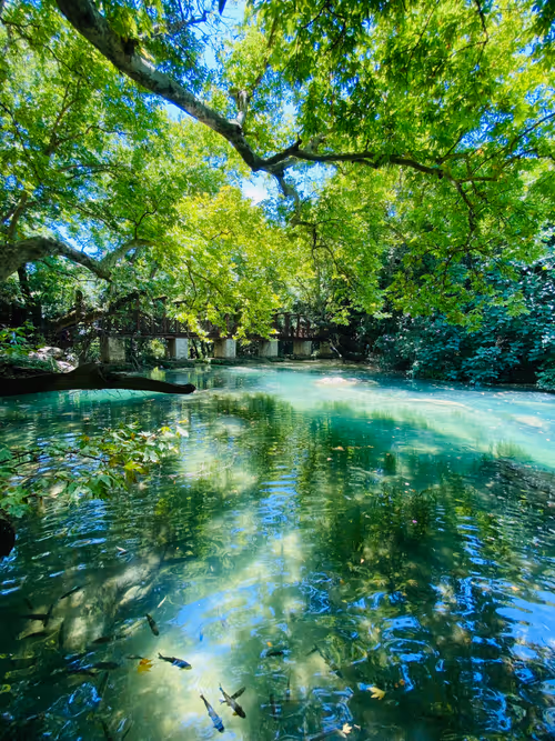 Item #68021680421370609917971695803708180506045537231368972803899735108715185963009 Media