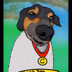 #29 - Good Boy - Based Ball Heroes ⚾️