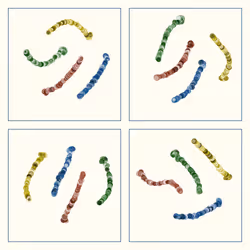 107937117699900001194099939943306584939867407144504846123696048298187735171073