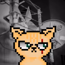 63170767654901927964852848505921354456488158057017135715885673624706442330113