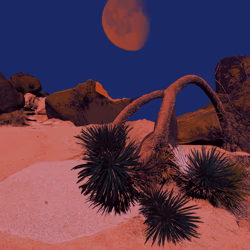 landscape dreamz