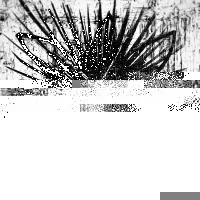 Item #79199631732045679610409293861376479058464126016282343108999058219594183344129 Media