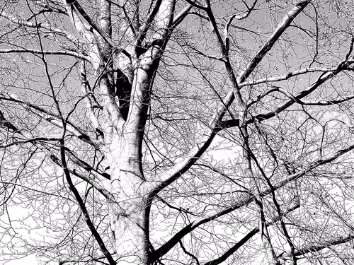 Item #13665938074563914331498291329920780757136253607588816979915017137574622789633 Media