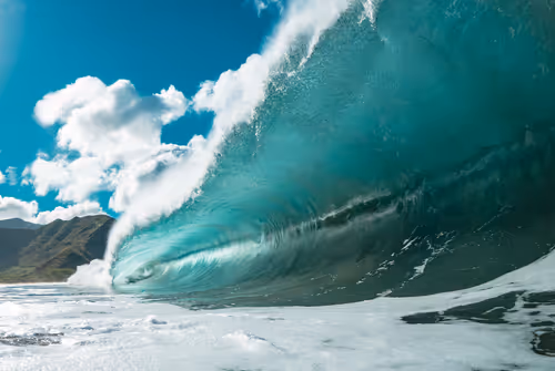 Item #19717472655541438358875111876949792254809295352552867053113992215173592514561 Media