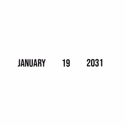 January 19 2031