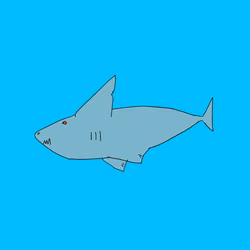 Shark Crypto ZOO