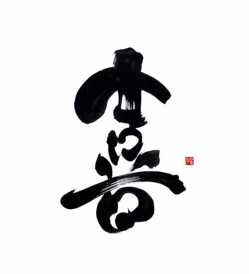 Item #2573880665805943482371769858813422392604651945533066600074458741922330574849 Media