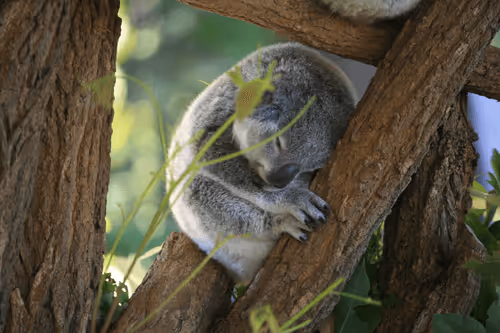 Garetjakz Photography