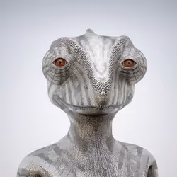 54945159616506010517458825273282806802326200748985476130895078821358869676033