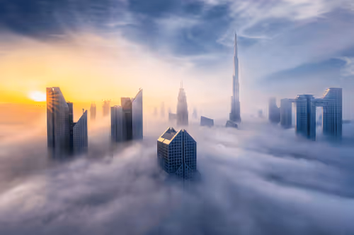 Lending Eyes Of Birds