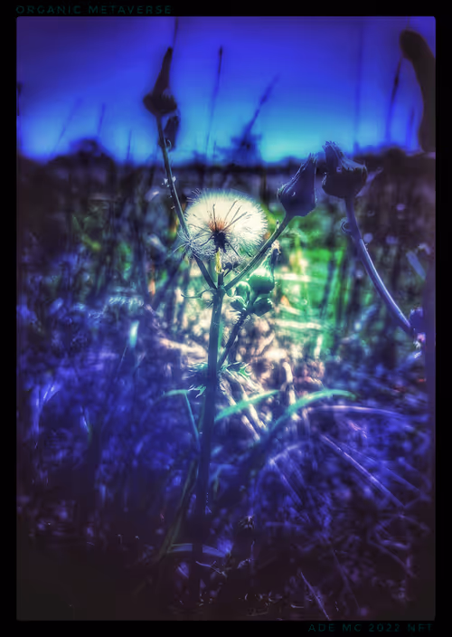 Item #3787080761074609709675817509753112159059746763483256848434353636961245200389 Media