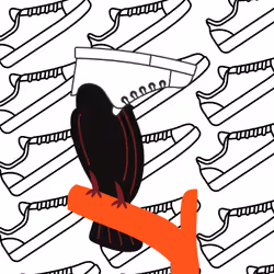 Shoecan
