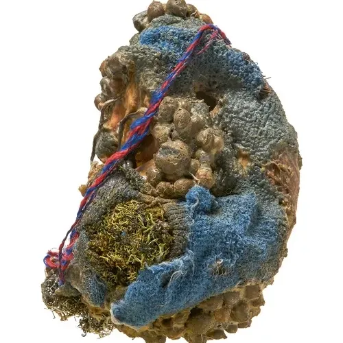 Environmental Hangover