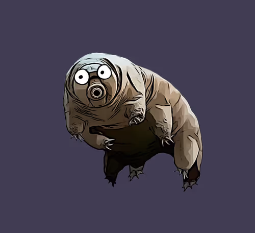 Item #86202550248586517642199010531110464804800601482172909858196685613741146898433 Media