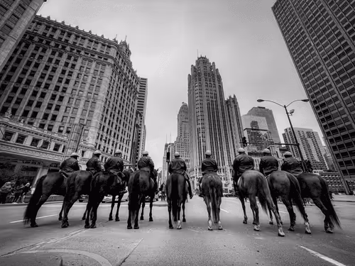 Elias Oskoui Editions