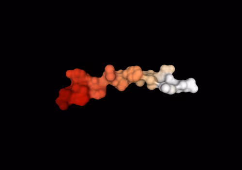 Item #47350829909543671371603060769853362682429688600975311335895424116403784908801 Media