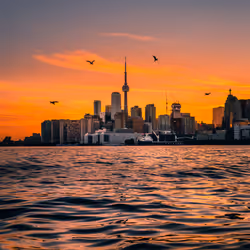 25828147237821198195018353565513715926828886605696715423323237832217486950401