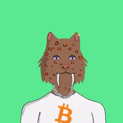 53197605892384022375736539318442558877436458586793321271910294513467806187521