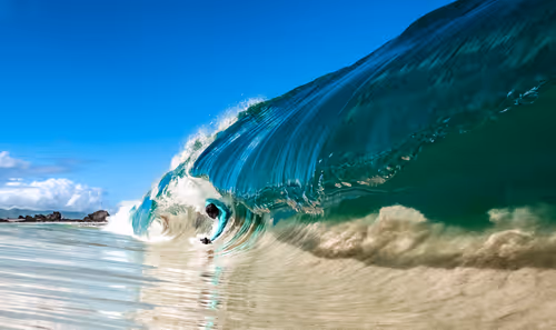 Item #19717472655541438358875111876949792254809295352552867053113992210775546003457 Media