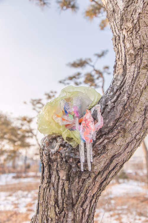 Item #56287295829887504958862107058149038286908875218999637654997635491843236954113 Media