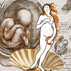 KUBKUB Classic -The Birth of Venus x Studies of the Foetus in the Womb