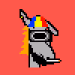 Donkey Punk 55/55