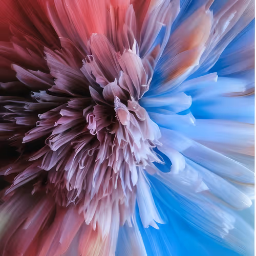 Item #96886935191127696535410464763981420974710720239925028244005018030495619874817 Media