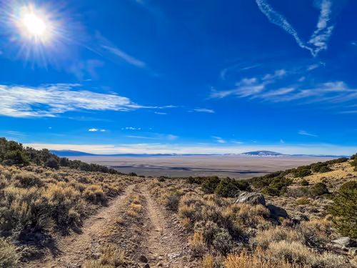 Item #69779279793312991240489662721218422936190169407892673104950858349265660411905 Media