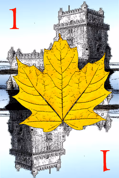 Item #725871994361601053273897083725667630871827410788579972353670399895363649537 Media